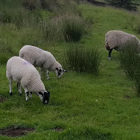Watergreens Farm Alston
