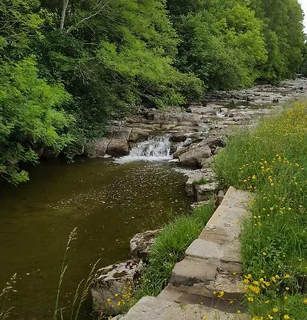 Watergreens Farm