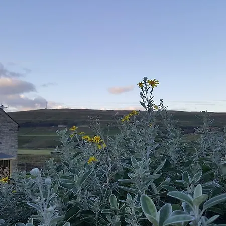 Watergreens Farm *